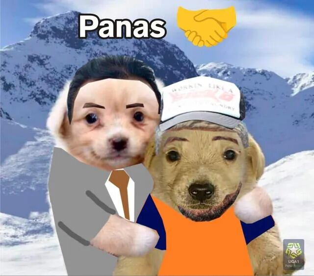 Memes de Paolo Guerrero.