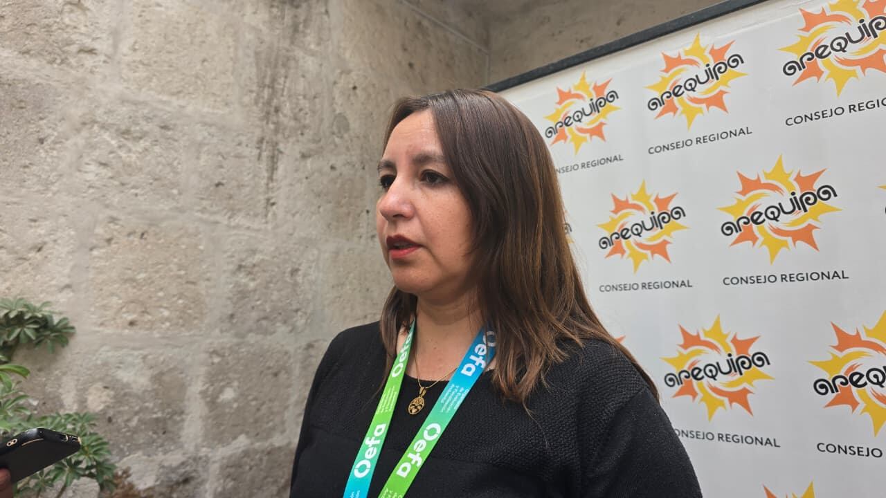 Kelly Salas Cisneros, jefa de la oficina desconcentrada de OEFA. Foto: GEC.