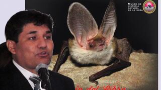 En Arequipa hay 16 especies de murciélagos según investigación