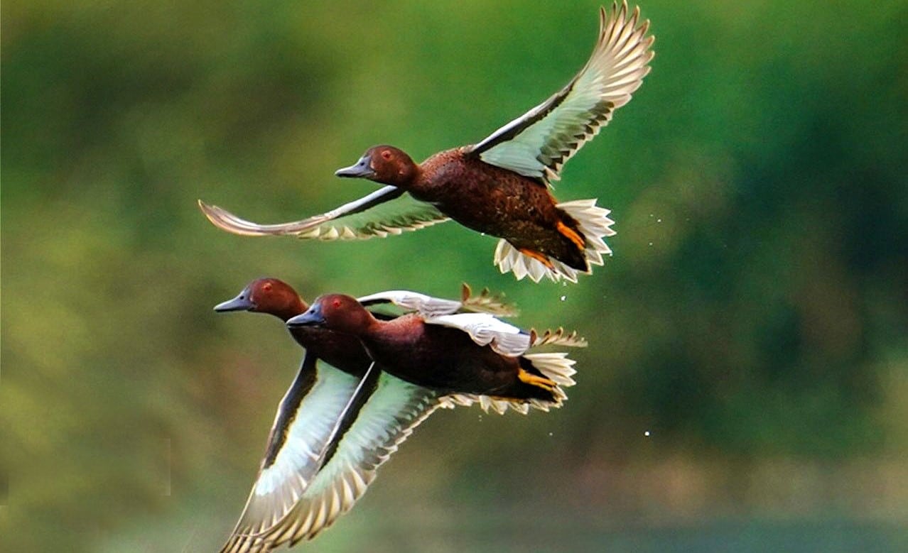 Comuna Veintiséis de Octubre realizó evento por la conservación natural en Santa Julia.