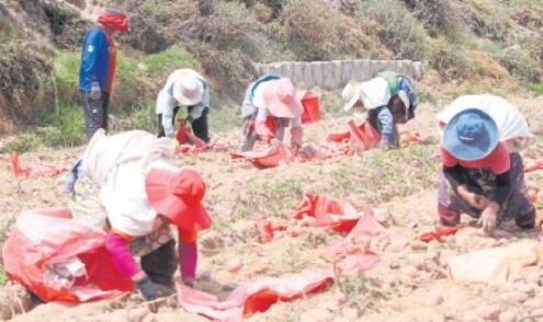Nuevamente, los hombres del agro no tendrán apoyo del GRA. (Foto: Difusión)