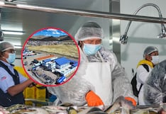 Puno: Ponen en funcionamiento la primera planta de procesamiento de truchas