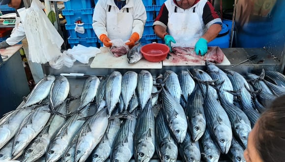 Demanda de pescado aumenta en Semana Santa: ¿cuáles son los precios?. Foto: GEC.