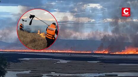 Puno: Incendio forestal arrasa totorales cerca de las islas de los Uros (VIDEO)
