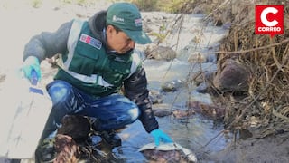 ANA inicia monitoreo en río Yuracyacu tras mortandad de truchas en Pariahuanca