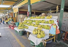 Arequipa: Ocho camiones cargados con fruta están varados en la carretera Panamericana Sur
