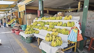Arequipa: Ocho camiones cargados con fruta están varados en la carretera Panamericana Sur