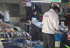 Precio del pescado bonito en Arequipa llega a los 10.00 soles (VIDEO)