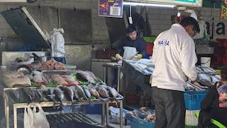 Precio del pescado bonito en Arequipa llega a los 10.00 soles (VIDEO)