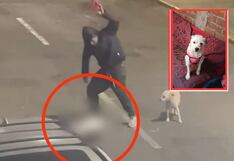 Trujillo: Denuncian al hombre que mató a golpes a perrita
