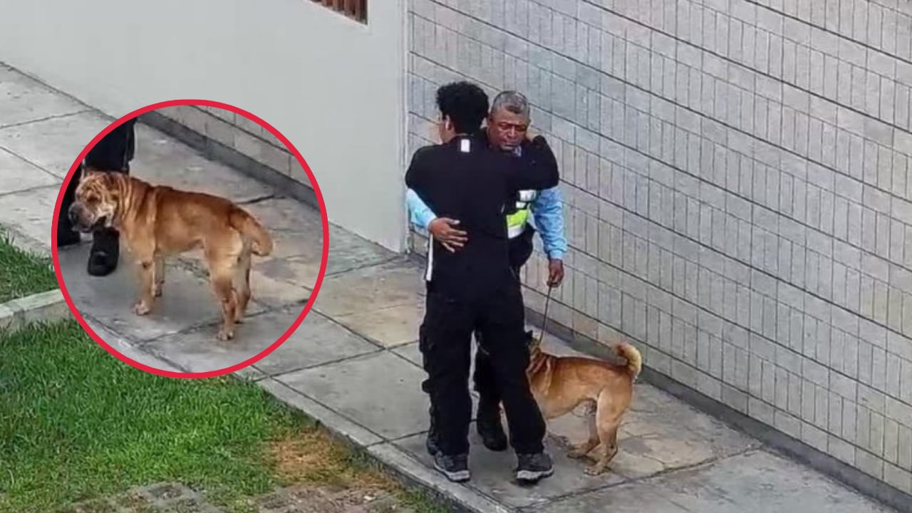 Abrazo de gratitud: sereno de Miraflores encuentra perrito perdido.