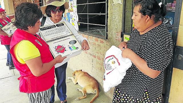 Salud detecta 15 casos de dengue en las provincias de Ica y Palpa