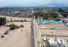 Ica: anuncian reforestación con más de 1,800 árboles en la doble vía Huacachina