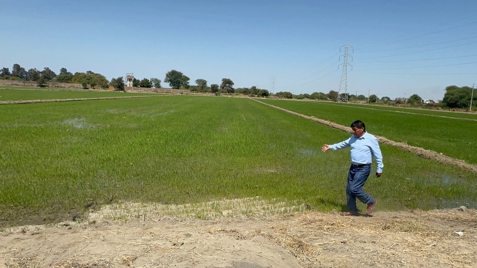 Agricultores preocupados por falta de agua.