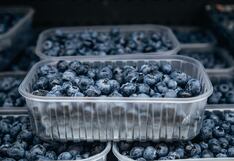 La Libertad, entre los mayores productores de arándanos