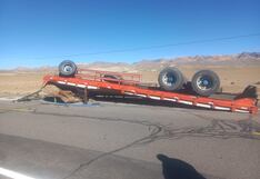 Tacna: Mueren 10 caballos en despiste de camión en la carretera Binacional