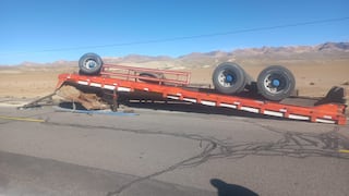 Tacna: Mueren 10 caballos en despiste de camión en la carretera Binacional
