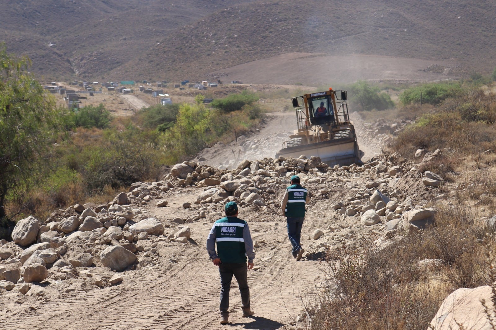 Destruyen árboles nativos de 50 años para abrir carretera en Quequeña (Foto: Serfor)