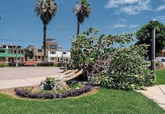 Ráfagas de viento originan daños en Trujillo (FOTOS)