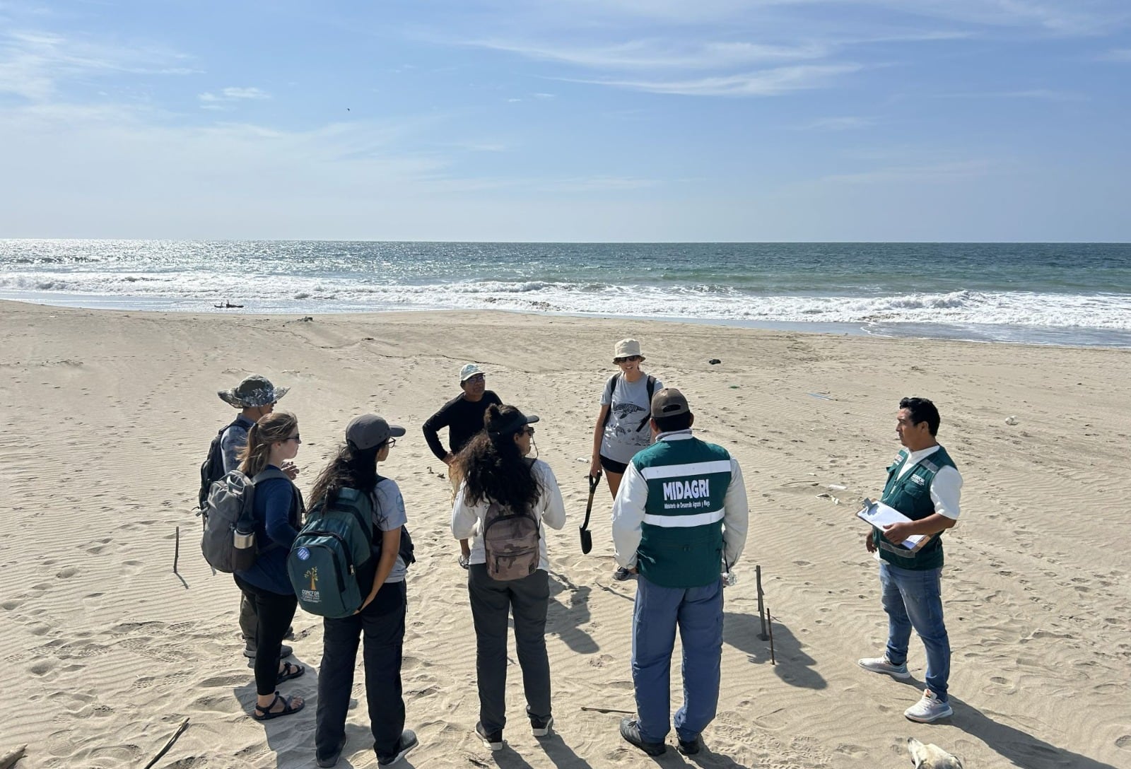 Piden cuidar la fauna marina.