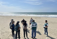 Piura: Serfor exhorta a veraneantes a proteger la fauna marina durante la temporada de verano