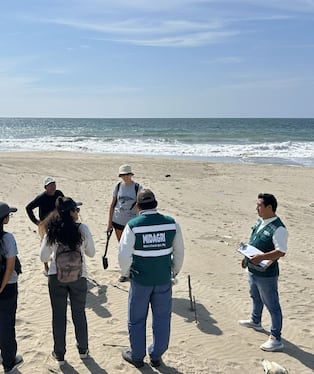 Piden cuidar la fauna marina.