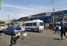 Arequipa: Nueva “pandemia” de la informalidad golpea transporte interregional