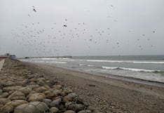 Chincha: las playas Lurinchincha y Cruz Verde son consideradas no saludables