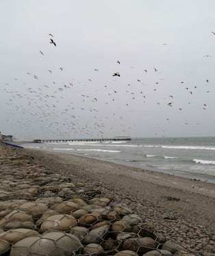 Chincha: las playas Lurinchincha y Cruz Verde son consideradas no saludables
