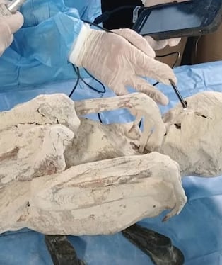 “Momias de Nasca” reaparecen en archivos desclasificados de EE. UU. sobre fenómenos OVNI