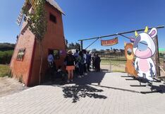 Granja “Los Minis” de Arequipa, alimenta y aprende más sobre caballos miniatura y otros animales (VIDEO)