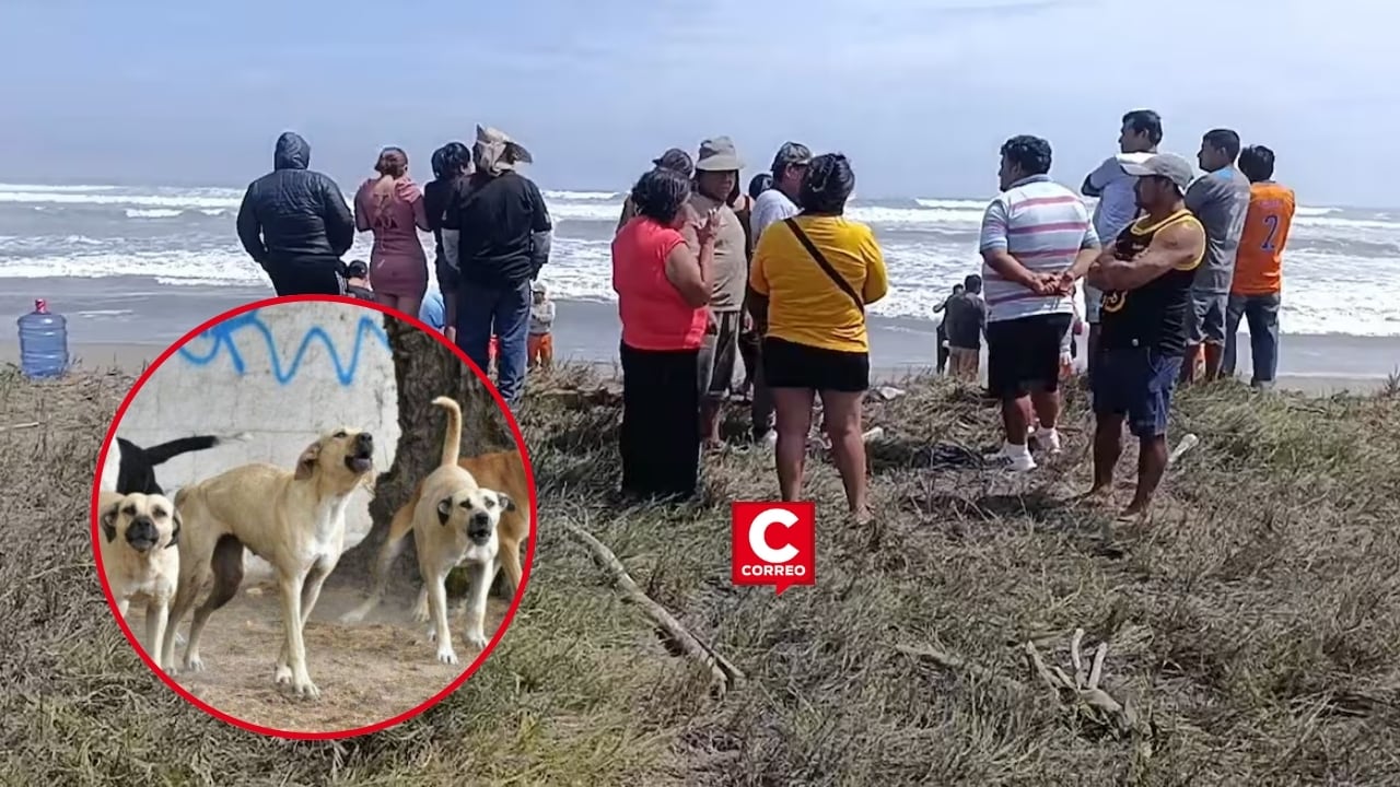 La Libertad: Fiscalía investiga muerte de pescador tras presunto ataque de una jauría. Composición: Diario Correo.