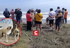 La Libertad: Fiscalía investiga muerte de pescador tras presunto ataque de una jauría