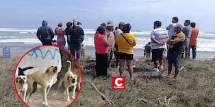 La Libertad: Fiscalía investiga muerte de pescador tras presunto ataque de una jauría. Composición: Diario Correo.