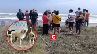La Libertad: Fiscalía investiga muerte de pescador tras presunto ataque de una jauría