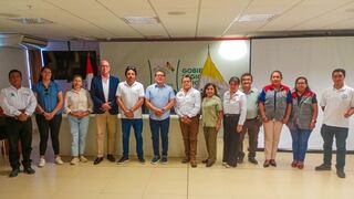 Trabajo articulado para combatir la anemia infantil en la región Ica