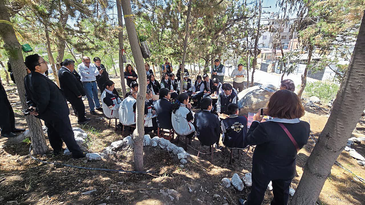 Estudiantes del colegio San Martín de Socabaya siguen manteniendo el bosque en este espacio. Foto: GEC.
