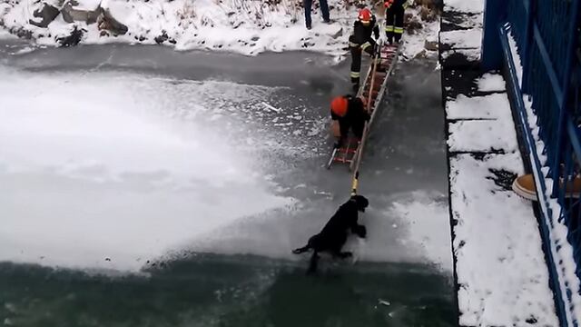 Bomberos héroes salvan a perro atrapado en un río congelado (VIDEO)