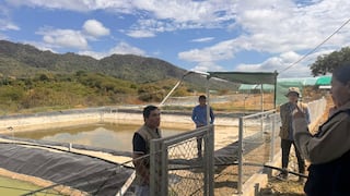 Direpro Piura realiza acciones de supervisión para promover la acuicultura y pesca sostenible