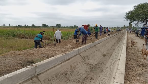 Agricultores del Bajo Piura vienen trabajando y ejecutando labores de limpieza, desbroce y descolmatación de canales de riego