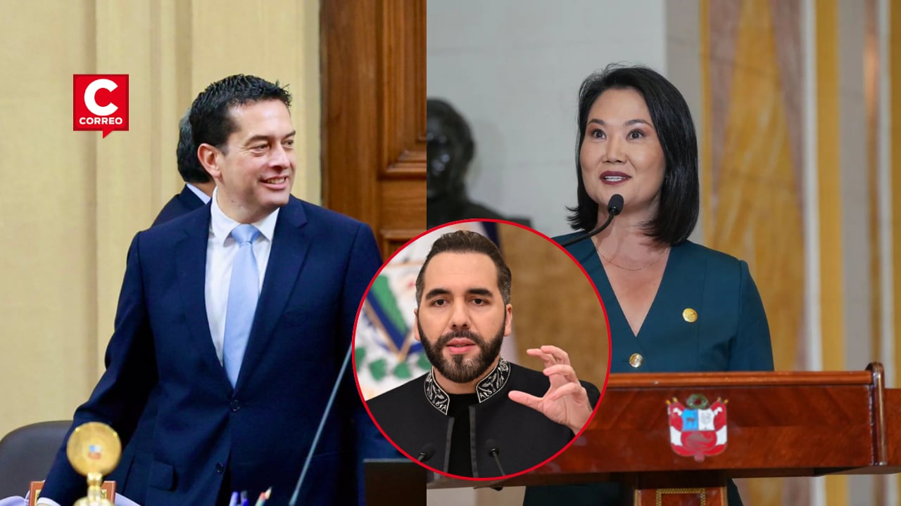 El titular del Senado calificó de importante la visita y pidió aprovechar las experiencias de ese país. (Foto: GEC - Congreso - AFP)