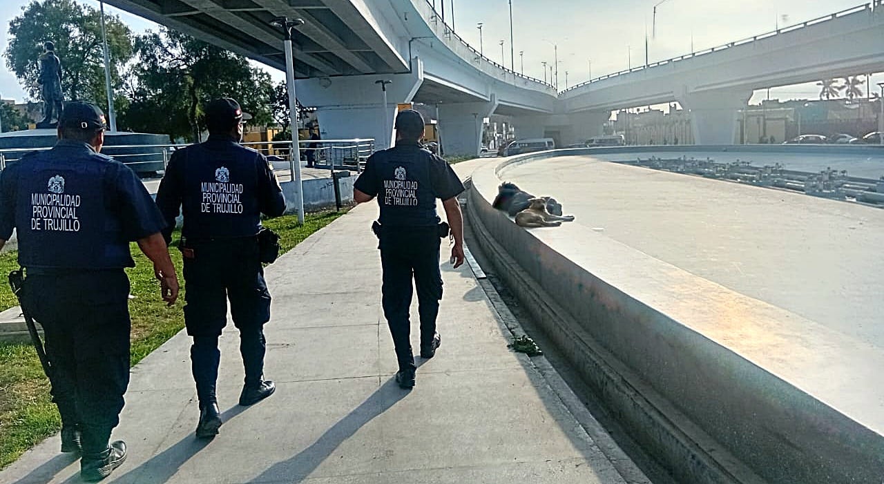 Vecinos alertaron al personal de serenazgo de la comuna provincial de Trujillo. (Foto: Seguridad Ciudadana - Trujillo)