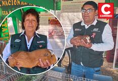 Junín: INIA lanza línea de cuy Mantaro que resiste cambios de temperatura
