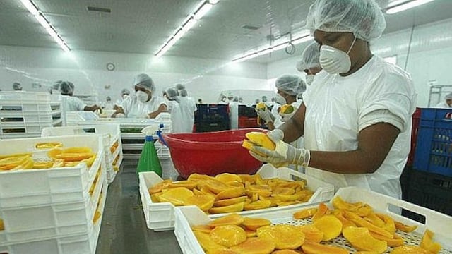Exportaciones de mango peruano a China en su mejor momento