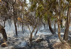 Junín: Controlan fuego en Hualhuas, pero deja daños considerables