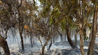 Junín: Controlan fuego en Hualhuas, pero deja daños considerables