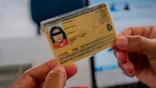 Matrícula escolar: DNI amarillo mantiene validez pese a que dejó de emitirse en 2025