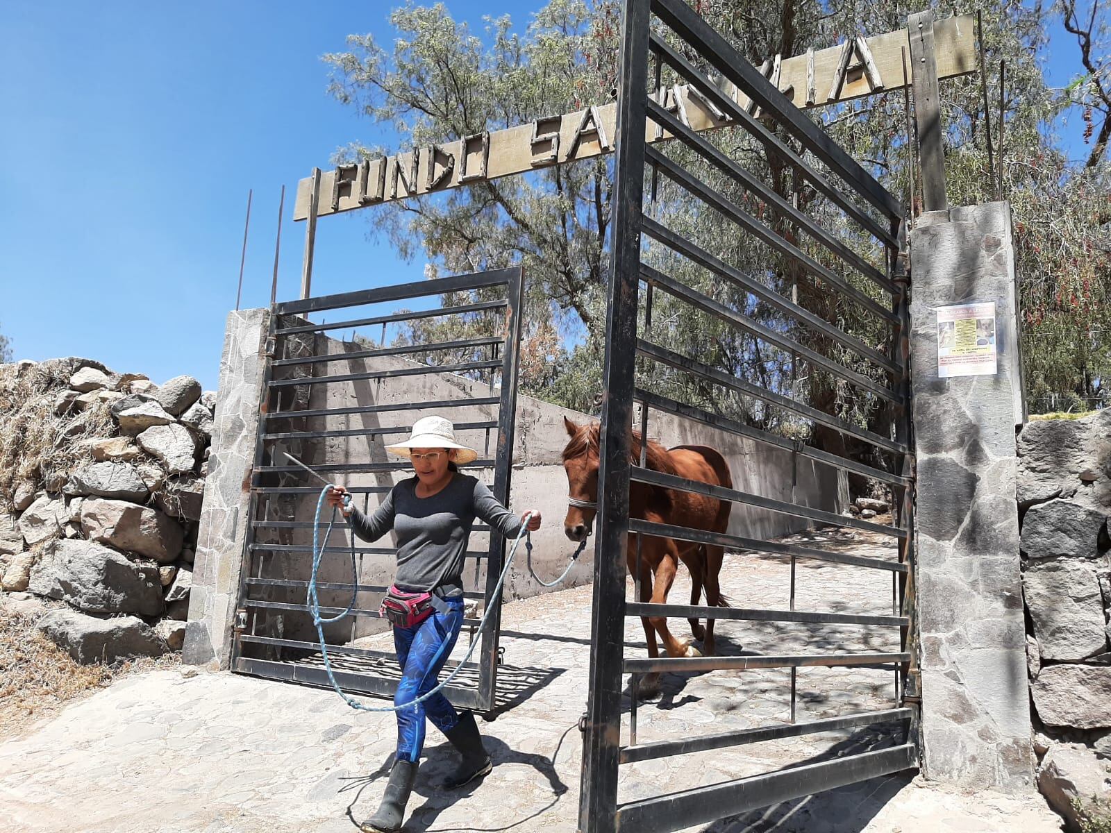 Un lugar especial para toda la familia en medio de la campiña arequipeña. (Foto: GEC)