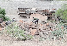 Camión cayó al río Ica y cinco se salvan de morir aplastados por grande troncos