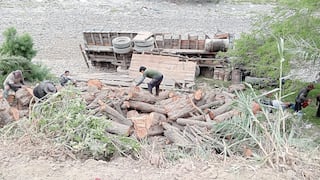 Camión cayó al río Ica y cinco se salvan de morir aplastados por grande troncos